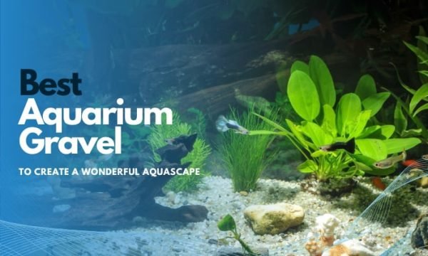 The Best Aquarium Gravel to Create a Wonderful Aquascape - Low Maintenance Aquarium Gravel