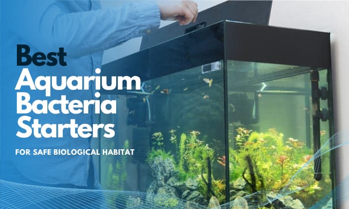 best-aquarium-bacterias-starter