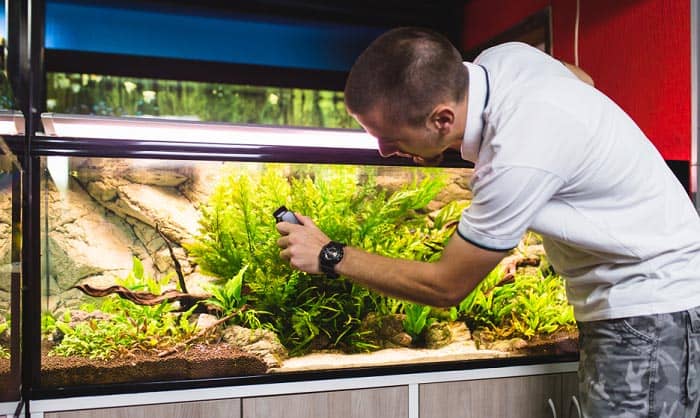 best-aquarium-heater-controller