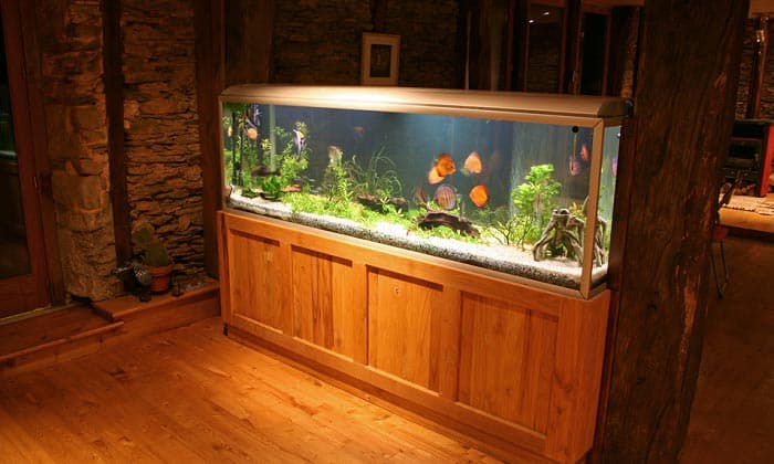 best aquarium stand