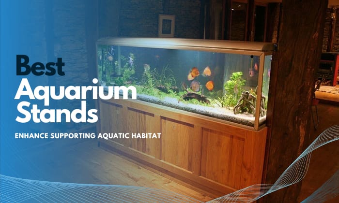 best-aquarium-stand