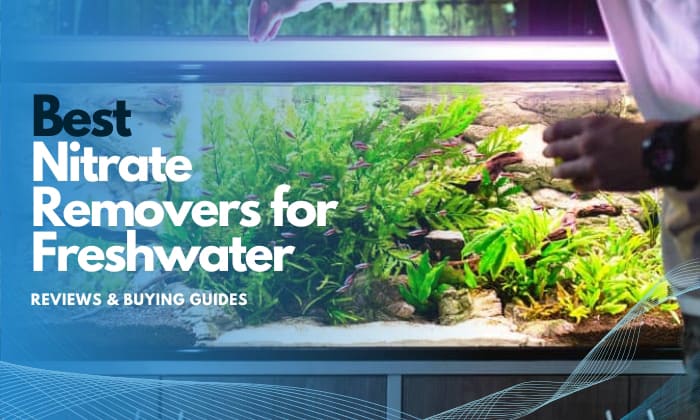 best-nitrate-remover-for-freshwater