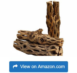 Long-Natural-Cholla-Wood-for-Aquarium