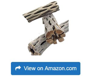 SunGrow-Natural-Cholla-Wood