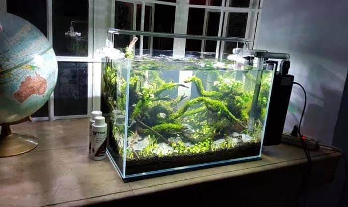 aquarium-filter-for-10-gallon-tank