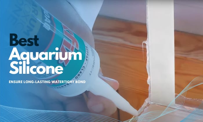 best-aquarium-silicone