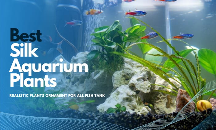 best-silk-aquarium-plants