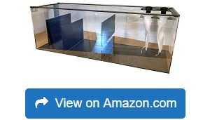 Windridercreations-50-gal-Refugium-Sump