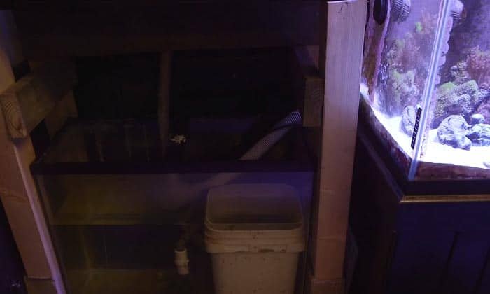 best-aquarium-return-pump