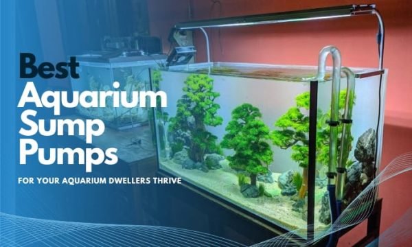 The Best Aquarium Sump Pumps for Your Aquarium Dwellers to Thrive
