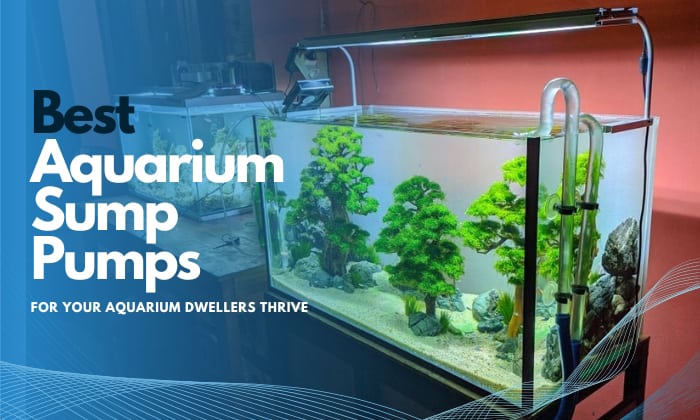 best-aquarium-sump-pump