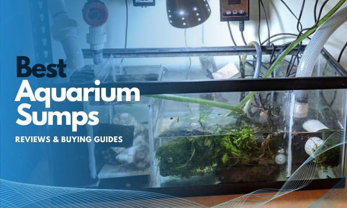 best-aquarium-sump