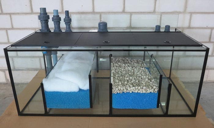 best-reef-sumps