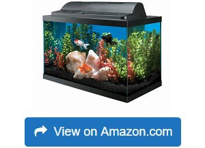 Aqueon-Basic-Kit-Aquarium,-10-Gallon