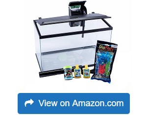 GloFish-Aquarium-Kit-Fish-Tank-with-LED-Lighting-and-Filtration