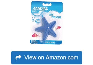 Marina-Cool-Starfish-Airstone