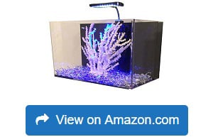 R&J-Enterprises-Fusion-Acrylic-All-in-One-Aquarium-Kit