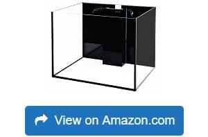 Starfire-Aquariums-with-Center-Overflow