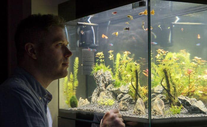 best 55 gallon fish tank