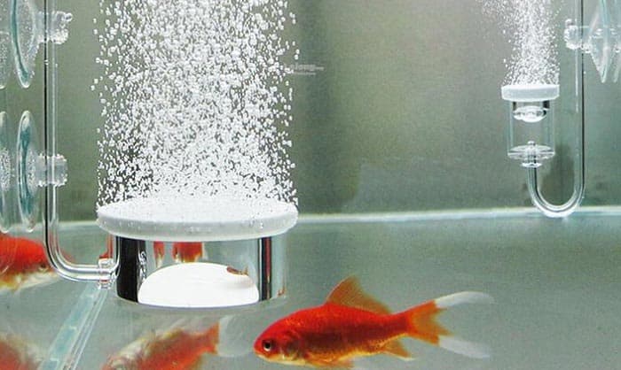 best-aquarium-bubble-wall