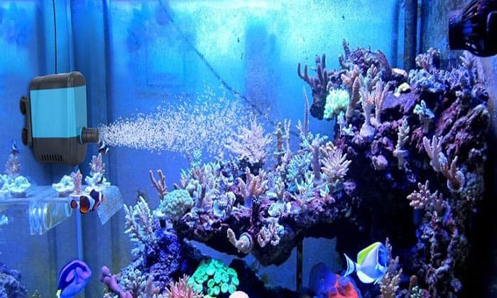 best-aquarium-circulation-pump