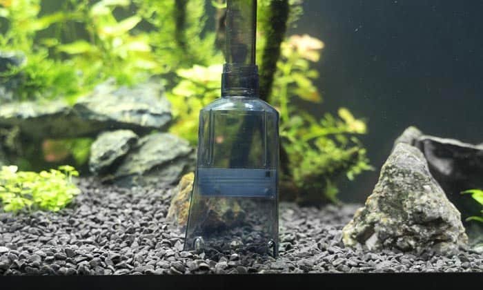 best-aquarium-gravel-cleaner
