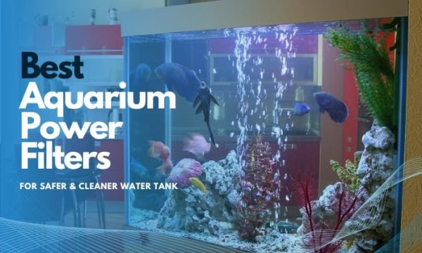 The Best Aquarium Power Filters for Safer & Cleaner Water Tank