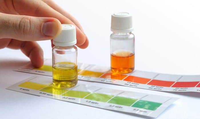 best-aquarium-test-kit