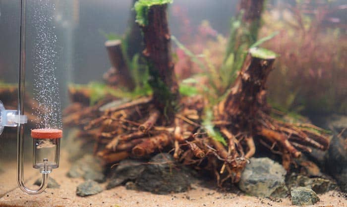 best-co2-diffuser-for-large-aquarium