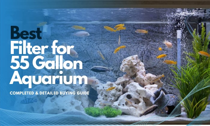 best-filter-for-55-gallon-aquarium