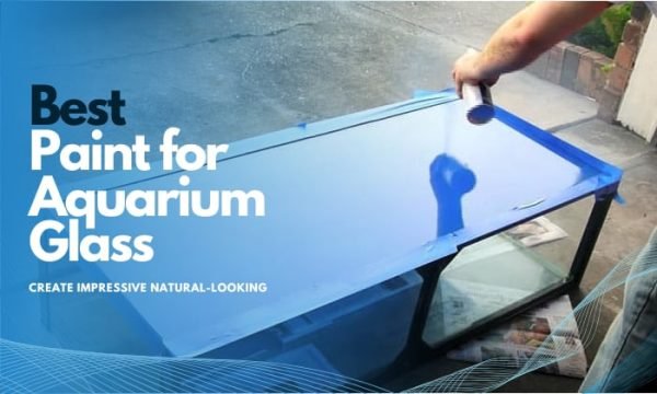 Image showcasing Best Paint for Impressive Natural-Looking Aquarium Glass