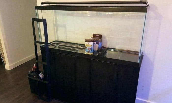 best-power-filter-for-55-gallon-tank