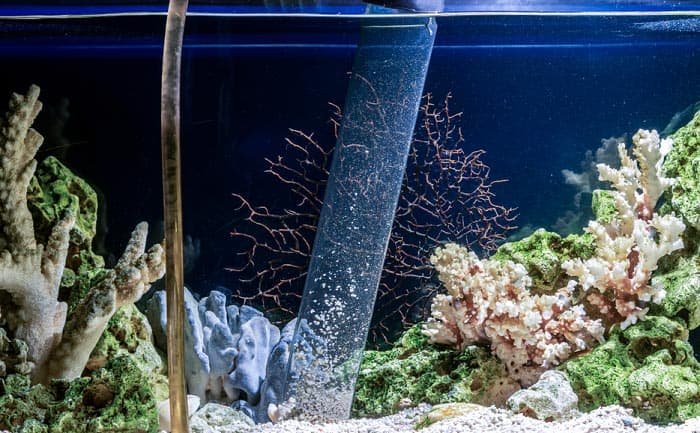 fish-tank-gravel-cleaner