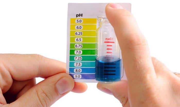 freshwater-aquarium-test-kits