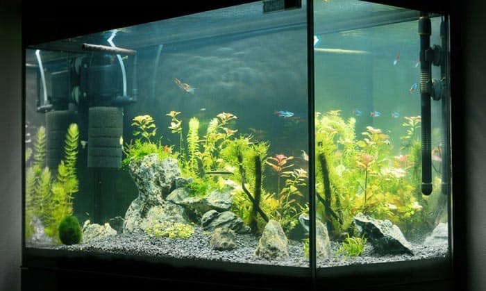 power-filters-for-aquariums