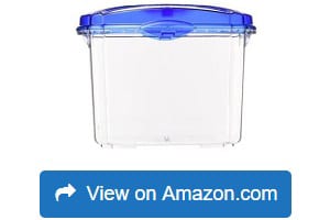 Aqueon-Betta-Bowl-Aquarium-Kit