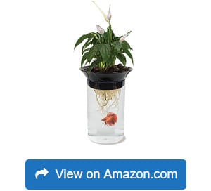 Penn-Plax-Aquaponic-Betta-Fish-Tank