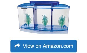 Penn-Plax-Deluxe-Triple-Betta-Bow-Aquarium-Tank