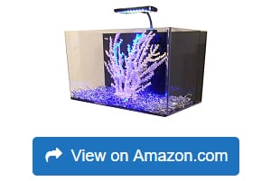 RJ-Enterprises-Fusion-Acrylic-All-in-One-Aquarium-Kit-1