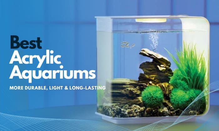 The-Best-Acrylic-Aquarium-Product-Reviews