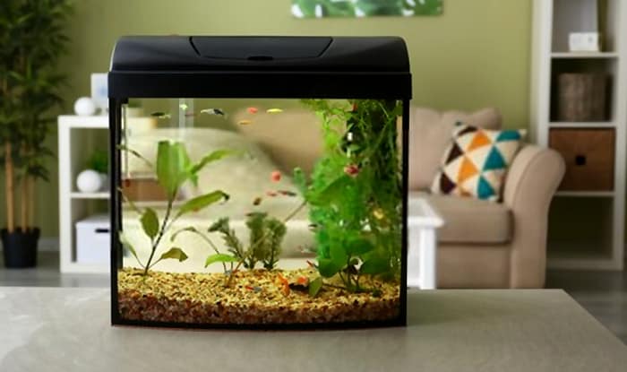 acrylic-fish-tank-1