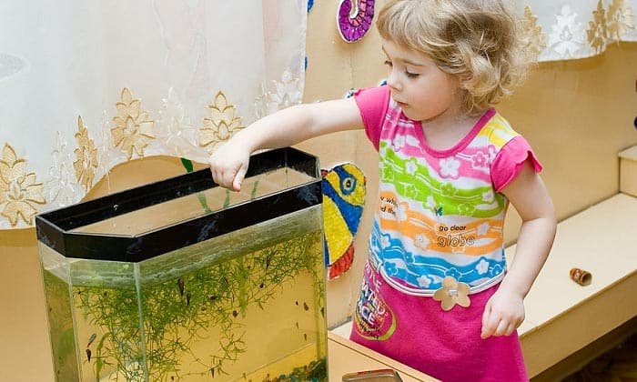 best aquarium for kids