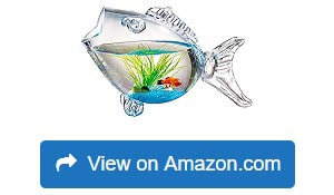 Home-Essentials-786460172302-1