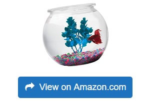 Koller-Products-2-Gallon-Fish-Bowl-1