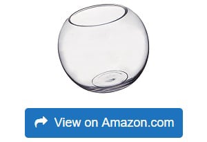 WGV-Clear-Bubble-Bowl-Glass-Vase-1