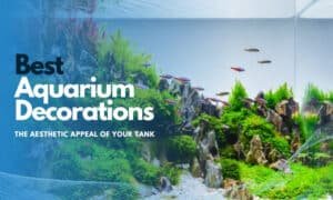 best-aquarium-decorations-1