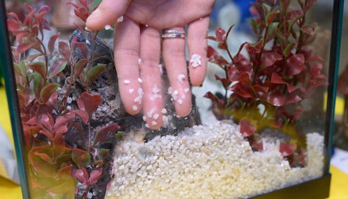 best aquarium sand