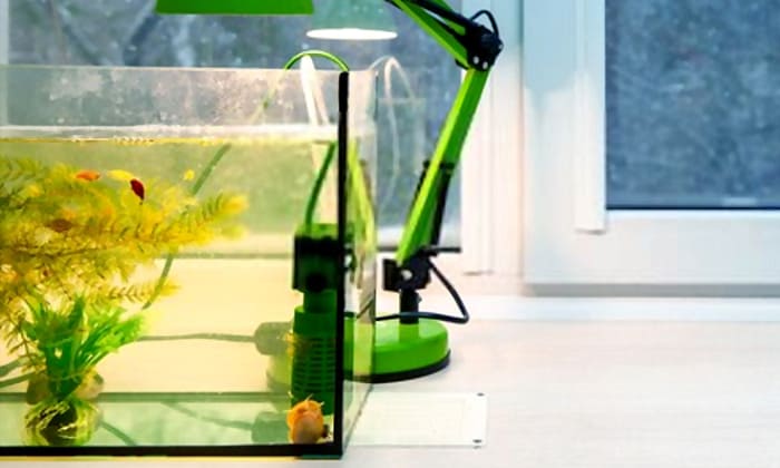 best-internal-filter