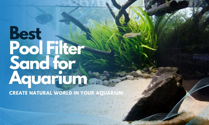 best-pool-filter-sand-for-aquarium