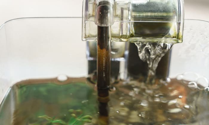 best small aquarium filter